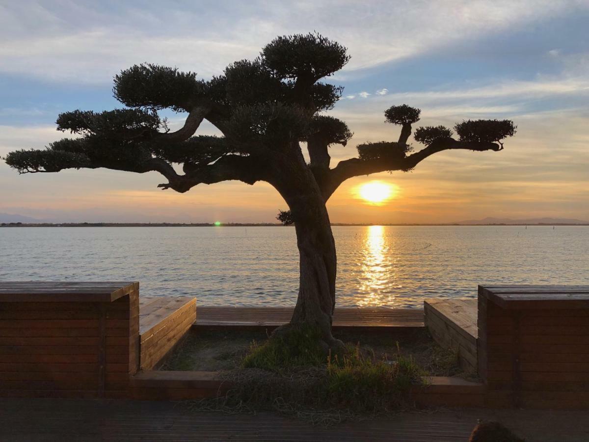 Barcaresa-Appartement Belle Vue Mer Piscine Tennis Mini Golf Wifi Le Barcares Luaran gambar